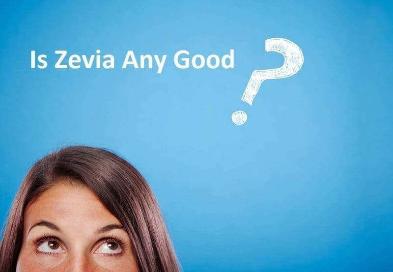 Should You Give Zevia Pop A Try? My Thoughts As A Zevia Expert