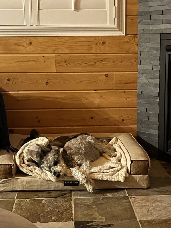 Angelo At Cabin: Beaver Hills Retreat