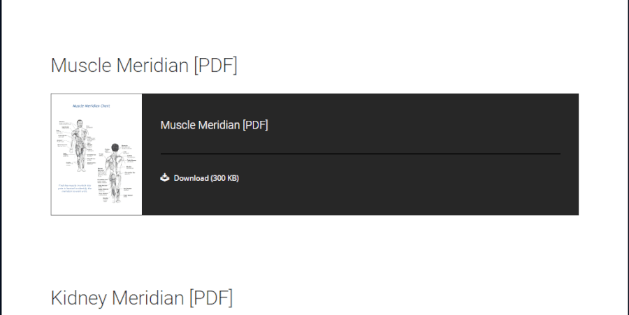 Donna Eden Energy Course Meridian PDF Download