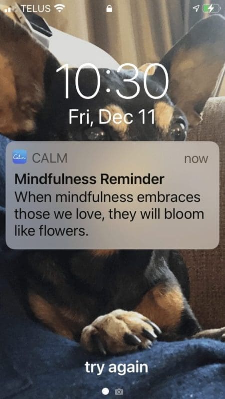 Calm app notification