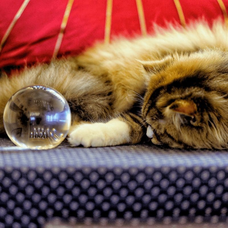 One My Most Psychic Dreams About An Ex-Friend One My Most Psychic Dreams About An Ex-Friend